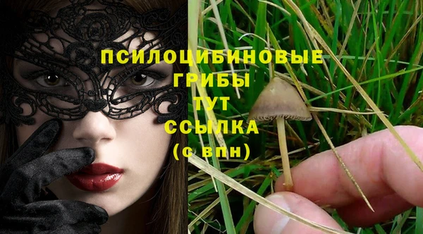 мет Арсеньев