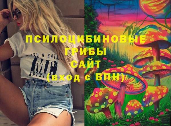 мет Арсеньев