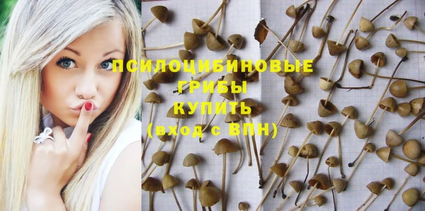 мет Арсеньев