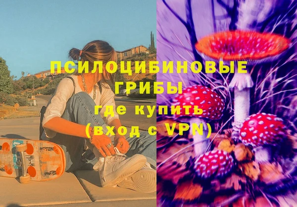 прущий лед Аркадак