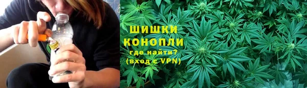 крисы Наволоки