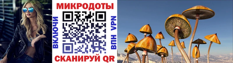 Галлюциногенные грибы прущие грибы МЕГА вход Таруса